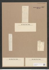 Synedra familiaris Kuetz. (de-Toni-Nr.: Genus 66, Species 2635) Zeichnungen Sammlung Grunow Nr. 5360 (NHMW-BOT-W0373773)
